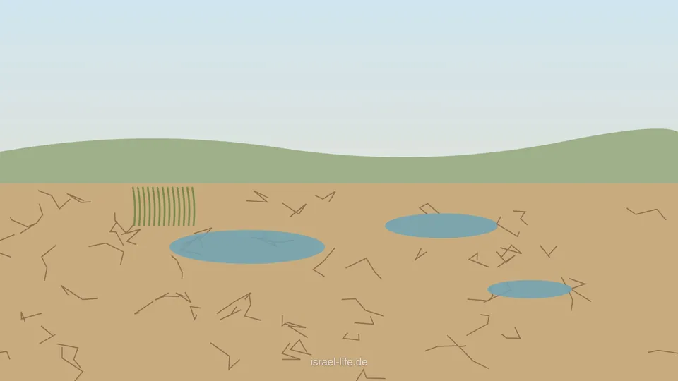קרקע סדוקה ובריכות מים רדודות בנוף ים תיכוני, אילוסטרציה